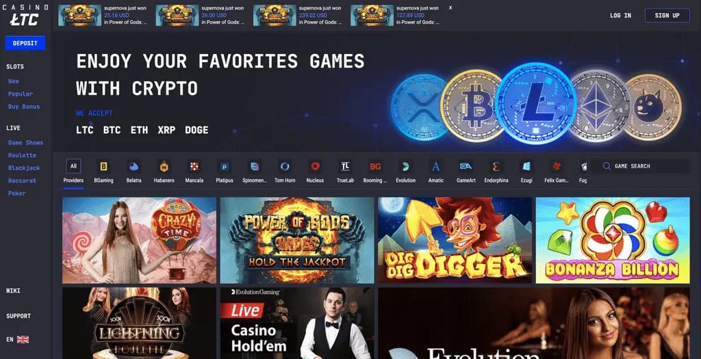 LTC Casino Review
