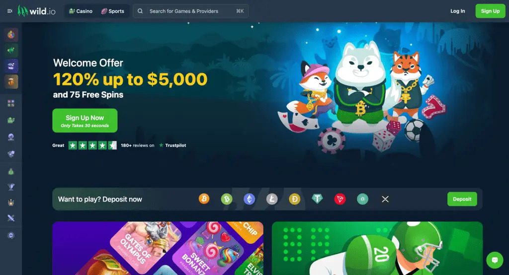 Wild.io Casino Review