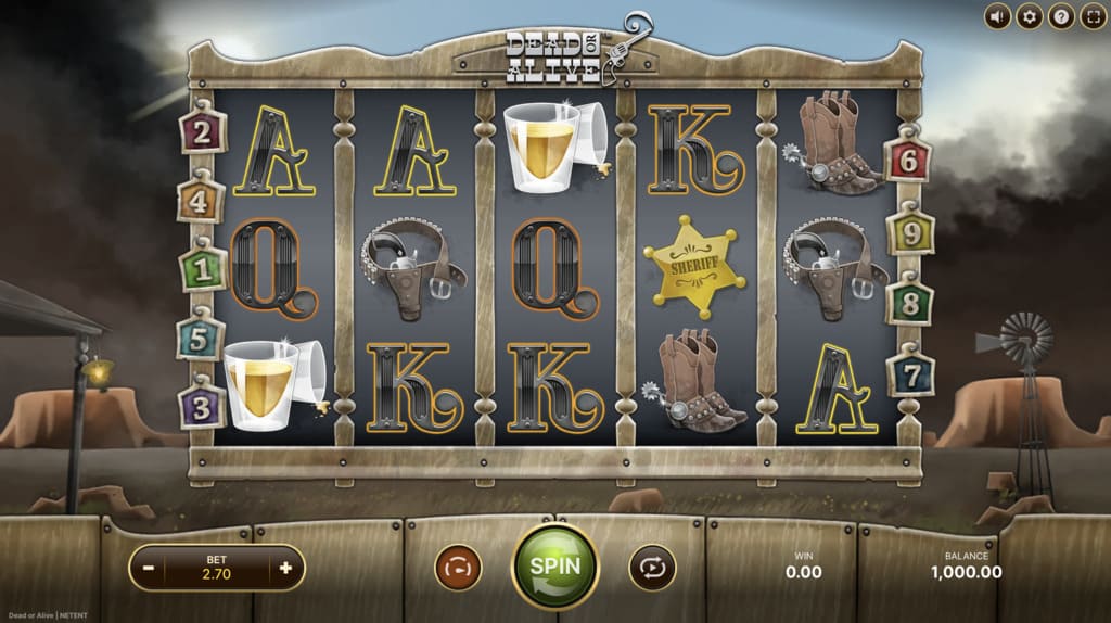 Dead or Alive Slot Review